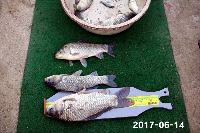 대회 이후 시상품 소진 (유료터정보 - 유료터점주조황)