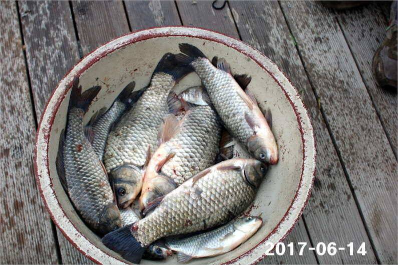 대회 이후 시상품 소진 (유료터정보 - 유료터점주조황)
