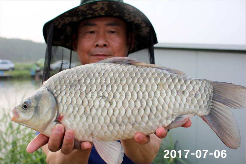 4주년 이벤트 (유료터정보 - 유료터점주조황)
