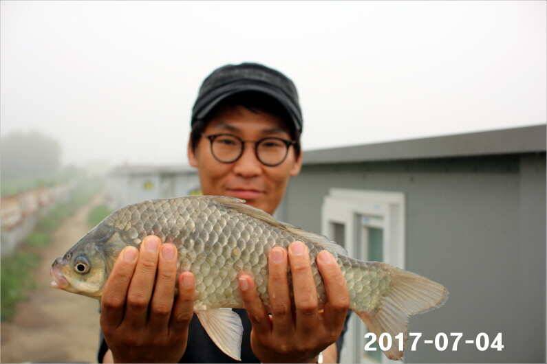 4주년 이벤트 (유료터정보 - 유료터점주조황)