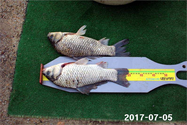 4주년 이벤트 (유료터정보 - 유료터점주조황)