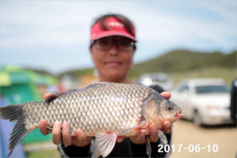 대회 이후 시상품 소진 (유료터정보 - 유료터점주조황)