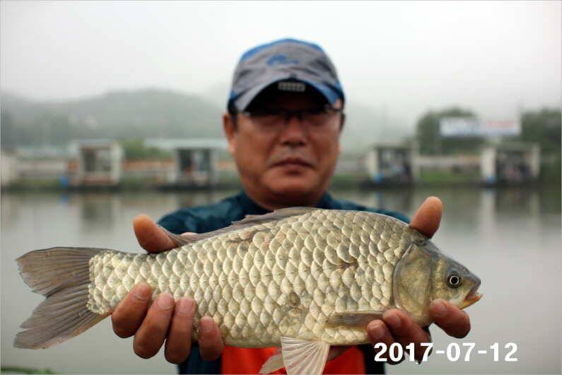 이벤트 23일차 4짜왕 (유료터정보 - 유료터점주조황)