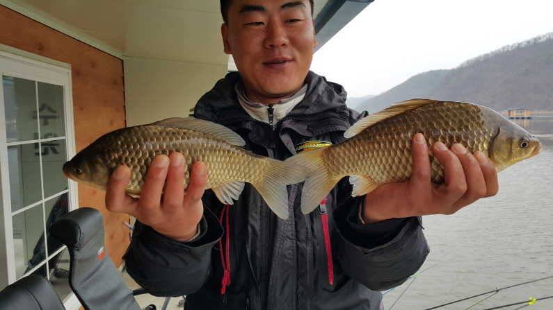 살아난 조황 송전지 수원좌대 (유료터정보 - 유료터점주조황)