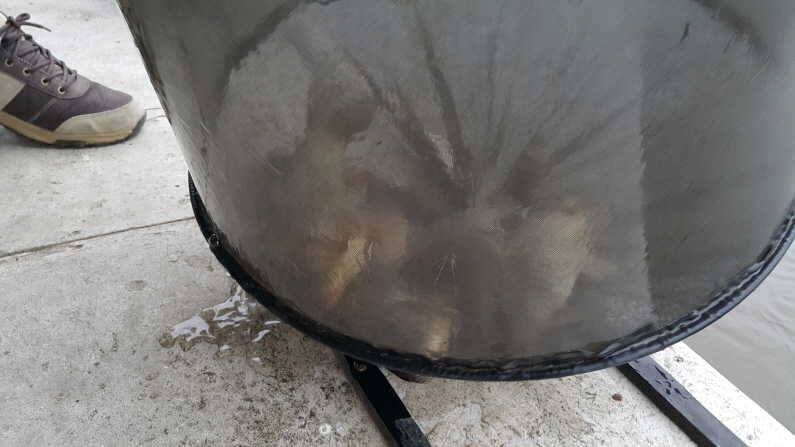 살아난 조황 송전지 수원좌대 (유료터정보 - 유료터점주조황)