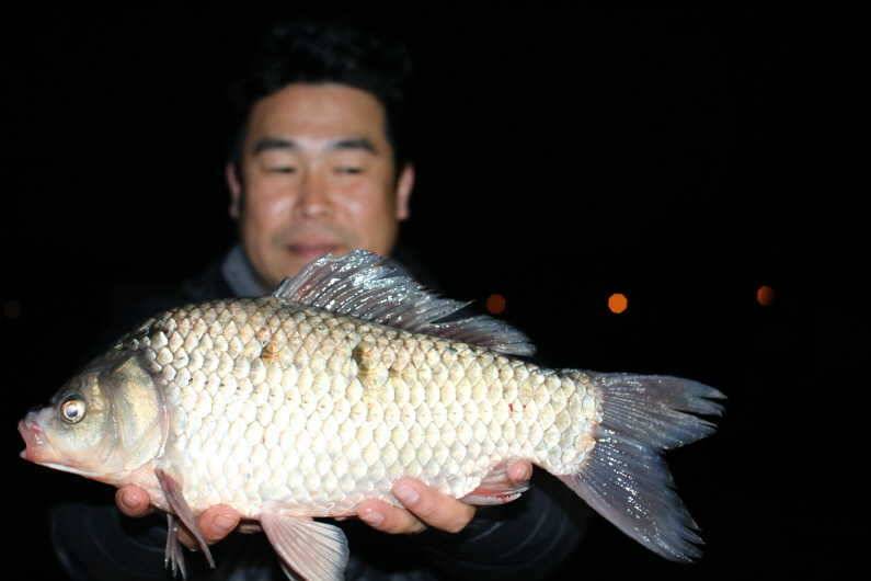4짜 50마리 (유료터정보 - 유료터점주조황)