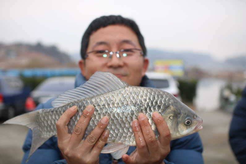 4짜 50마리 (유료터정보 - 유료터점주조황)