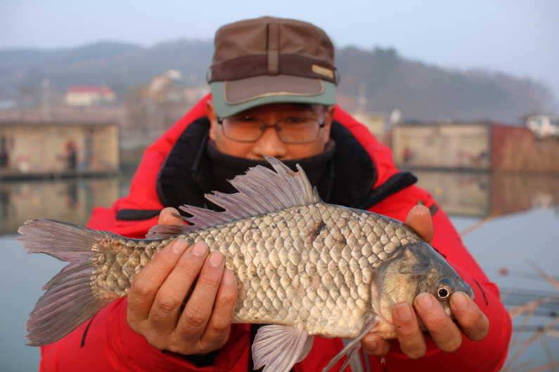 4짜 50마리 (유료터정보 - 유료터점주조황)