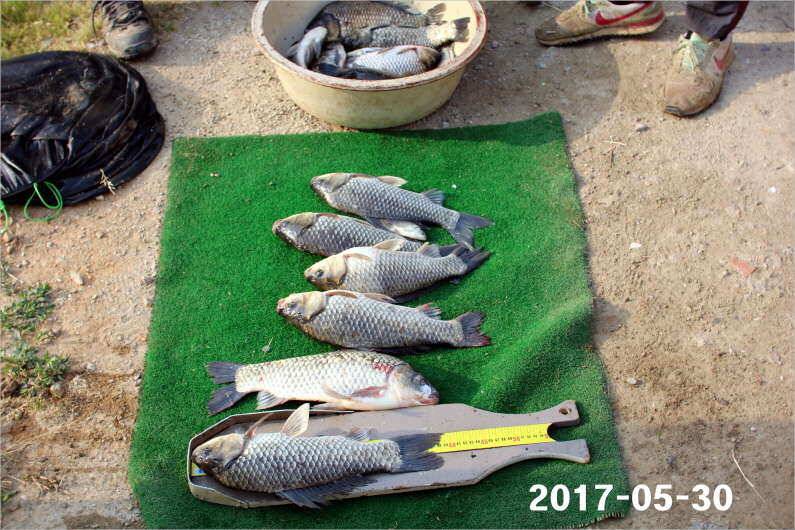 제1회 내동배 4짜 낚시대회 (유료터정보 - 유료터점주조황)