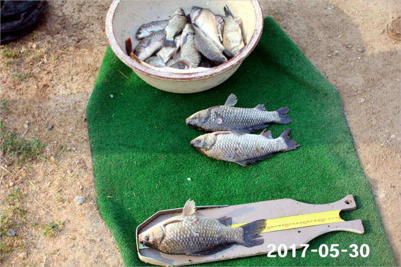 제1회 내동배 4짜 낚시대회 (유료터정보 - 유료터점주조황)