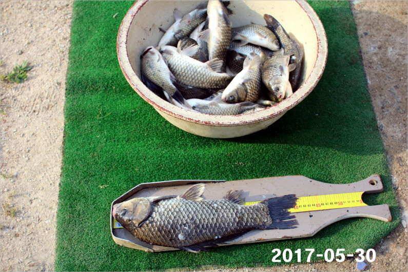 제1회 내동배 4짜 낚시대회 (유료터정보 - 유료터점주조황)