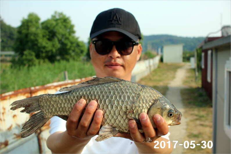 제1회 내동배 4짜 낚시대회 (유료터정보 - 유료터점주조황)
