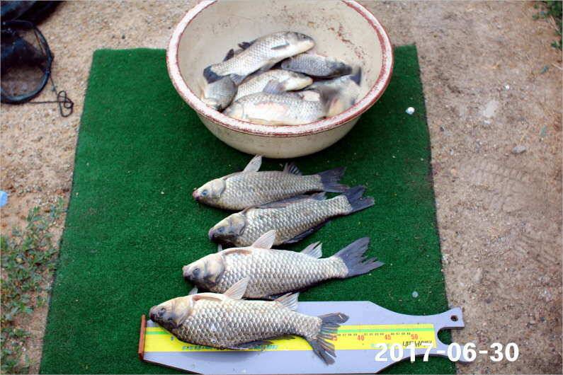 날씨 적응한 대물들 (유료터정보 - 유료터점주조황)