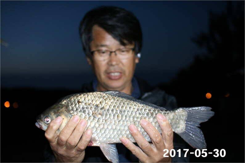 제1회 내동배 4짜 낚시대회 (유료터정보 - 유료터점주조황)