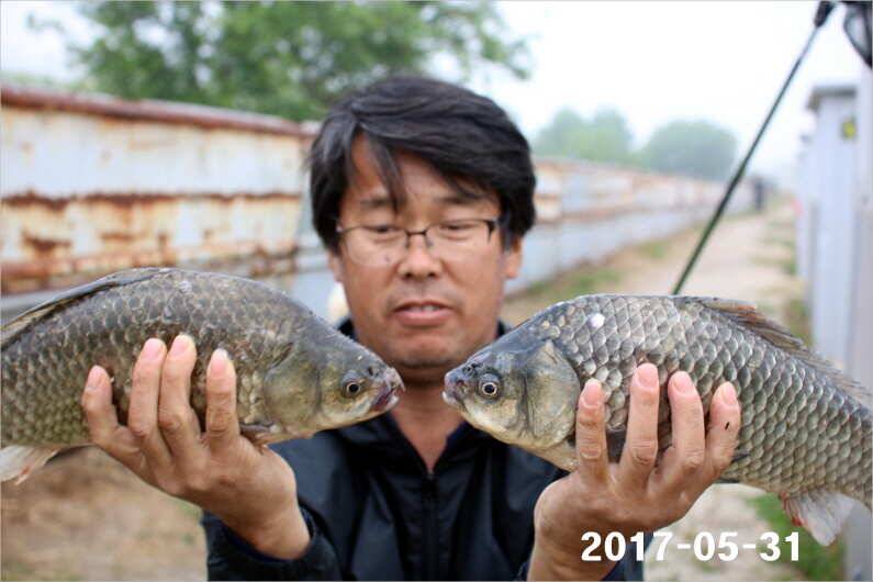 제1회 내동배 4짜 낚시대회 (유료터정보 - 유료터점주조황)
