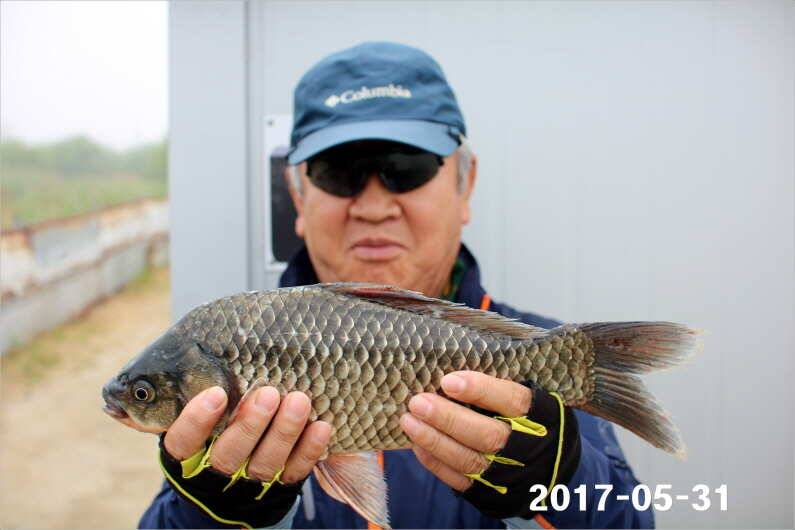 제1회 내동배 4짜 낚시대회 (유료터정보 - 유료터점주조황)