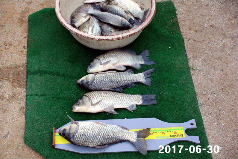 날씨 적응한 대물들 (유료터정보 - 유료터점주조황)