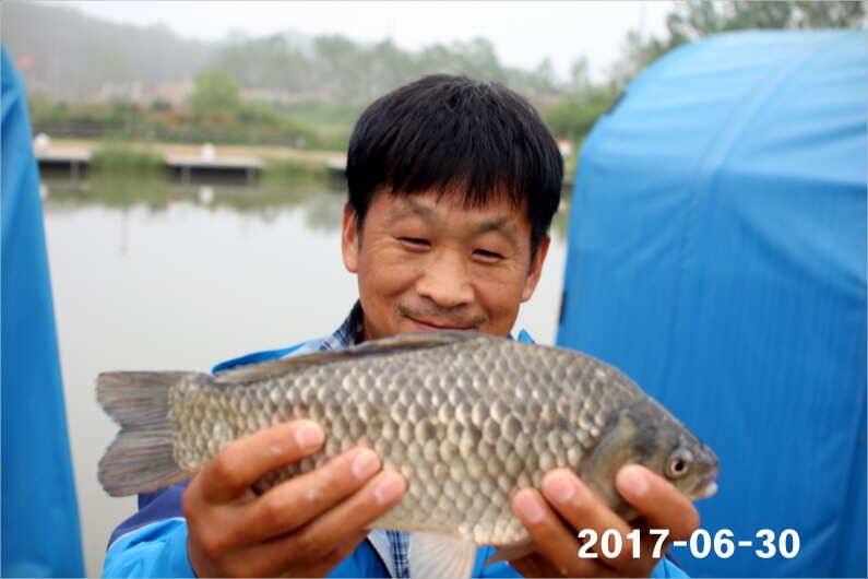 날씨 적응한 대물들 (유료터정보 - 유료터점주조황)