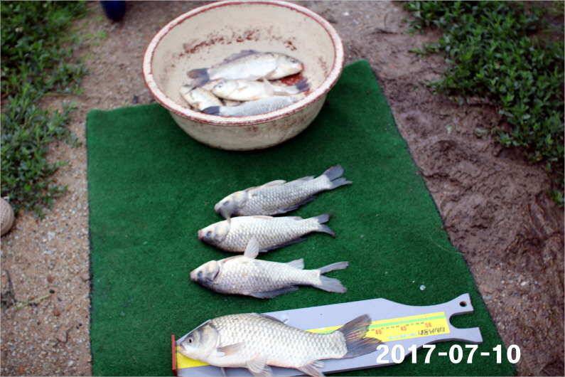 이벤트 1일차 4짜왕 (유료터정보 - 유료터점주조황)