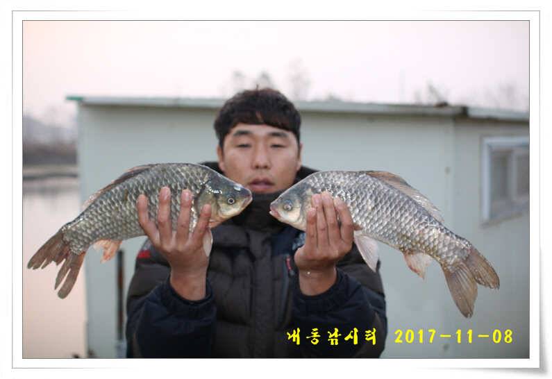 대물조황 (유료터정보 - 유료터점주조황)