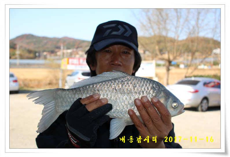 4짜 600번째 조사님을 찾습니다 (유료터정보 - 유료터점주조황)