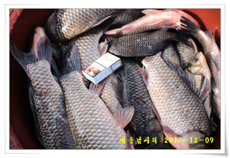 따뜻한 겨울 물낚시 (유료터정보 - 유료터점주조황)