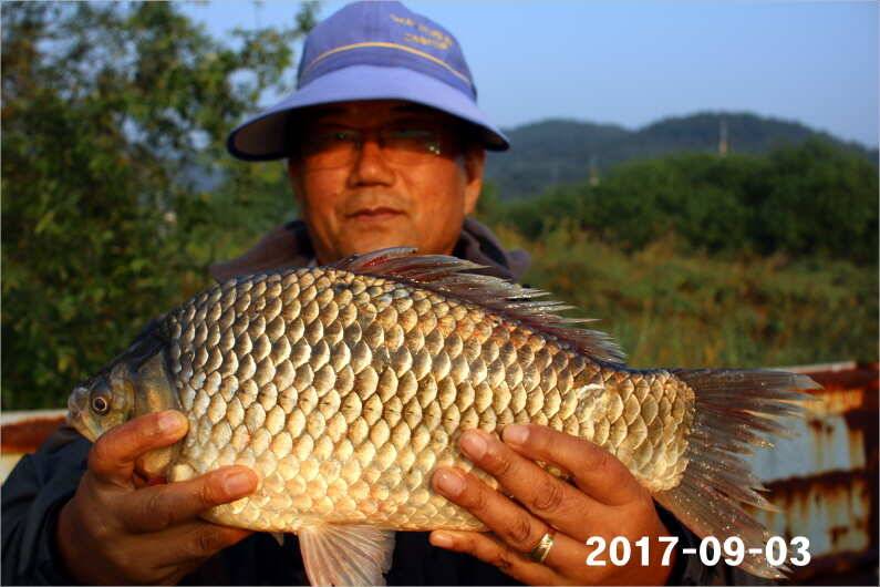 주간 이벤트 주인공 (유료터정보 - 유료터점주조황)