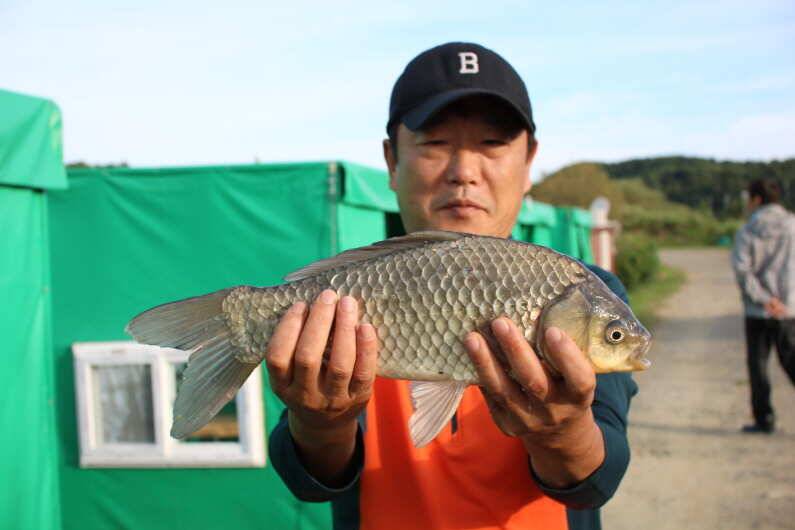 더 더 더 (유료터정보 - 유료터점주조황)