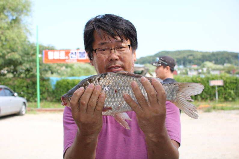 조사님들의 열정에 감탄한 토종 4짜 행진 (유료터정보 - 유료터점주조황)