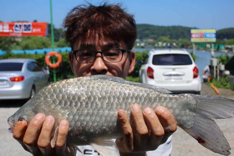 폭염에 4짜 대박 (유료터정보 - 유료터점주조황)