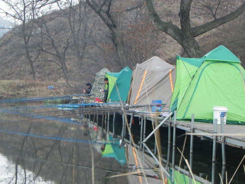 안성 회암지4짜붕어 (유료터정보 - 유료터점주조황)