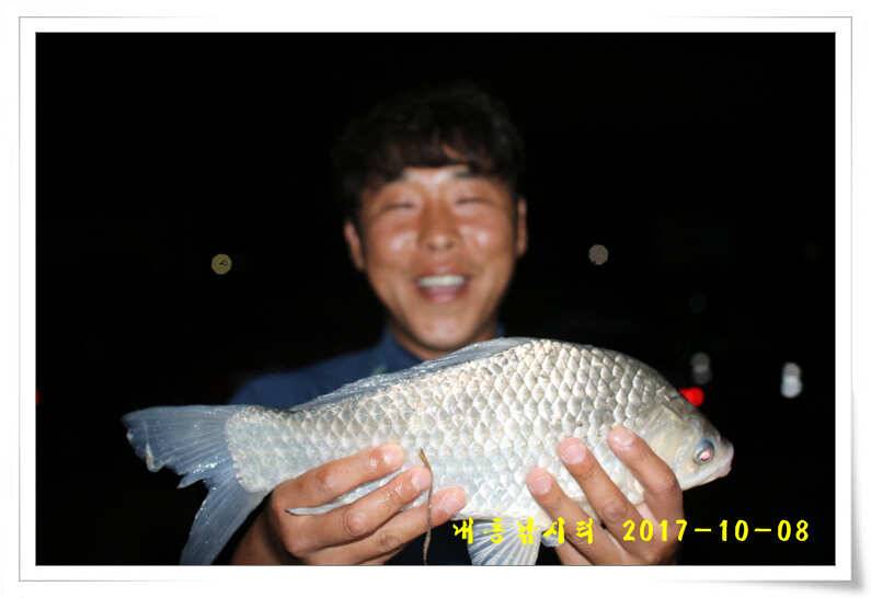 낚시의 계절 (유료터정보 - 유료터점주조황)