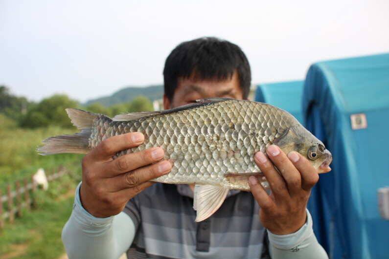fish_pay_1e86b_110129_40036.jpg