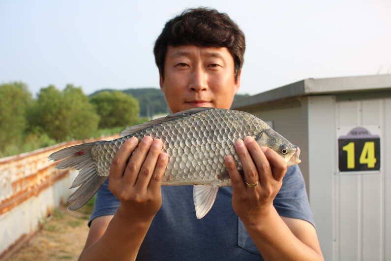 fish_pay_1e86b_110230_83728.jpg