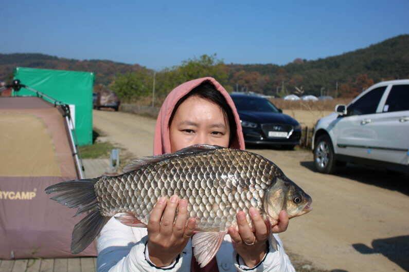 4짜 1000마리를 위하여 (유료터정보 - 유료터점주조황)