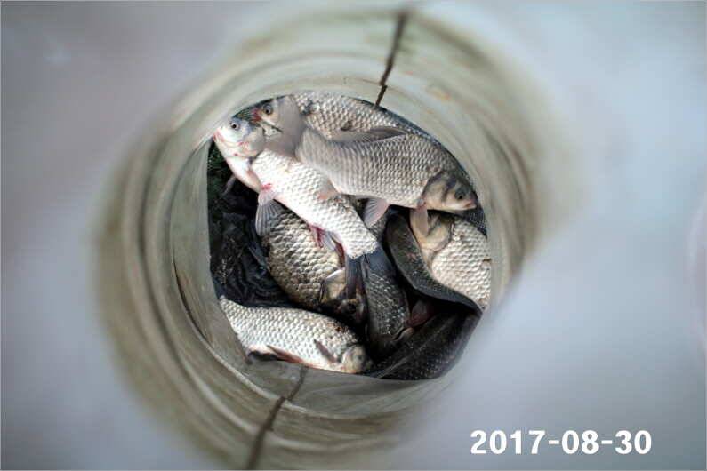 4짜 500번째 조사님을 찾습니다 (유료터정보 - 유료터점주조황)