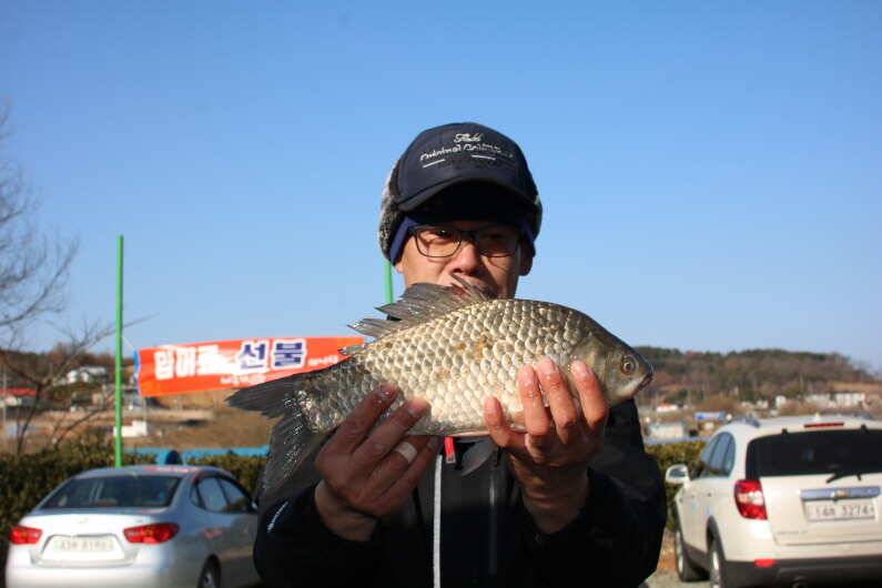2018년 계획 (유료터정보 - 유료터점주조황)