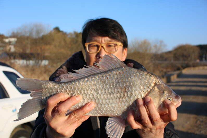 fish_pay_29219_093435_56040.jpg