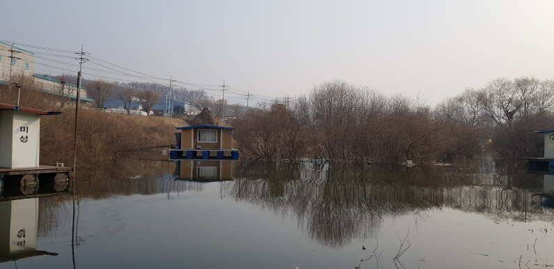 송전지 미성집 좌대 2019년 물 낚시 시작합니다 (유료터정보 - 유료터점주조황)