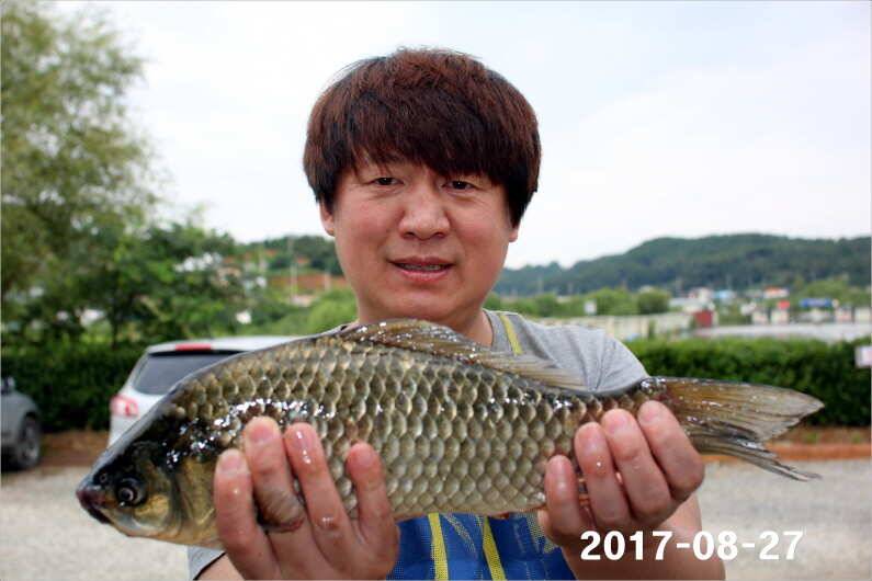 4짜 500마리 조사님을 찾습니다 (유료터정보 - 유료터점주조황)