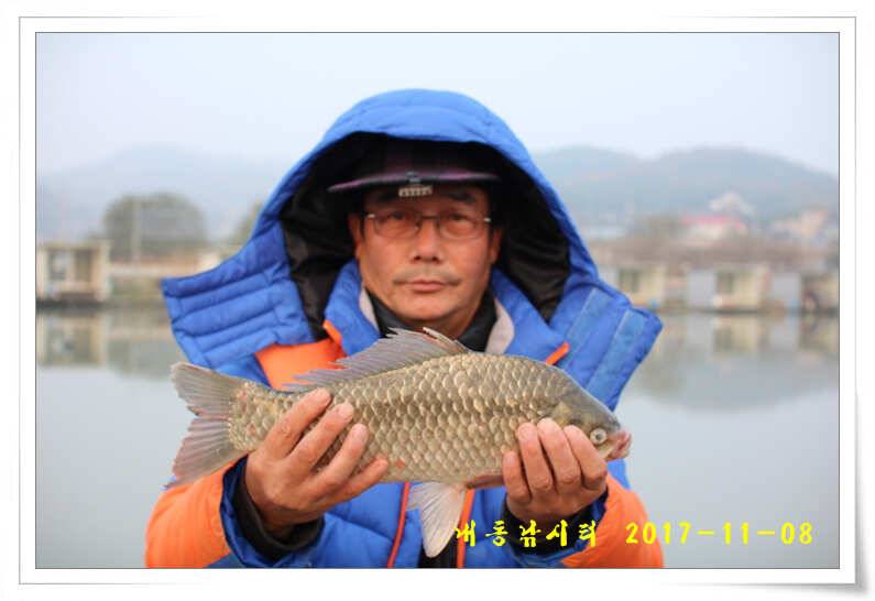 대물조황 (유료터정보 - 유료터점주조황)