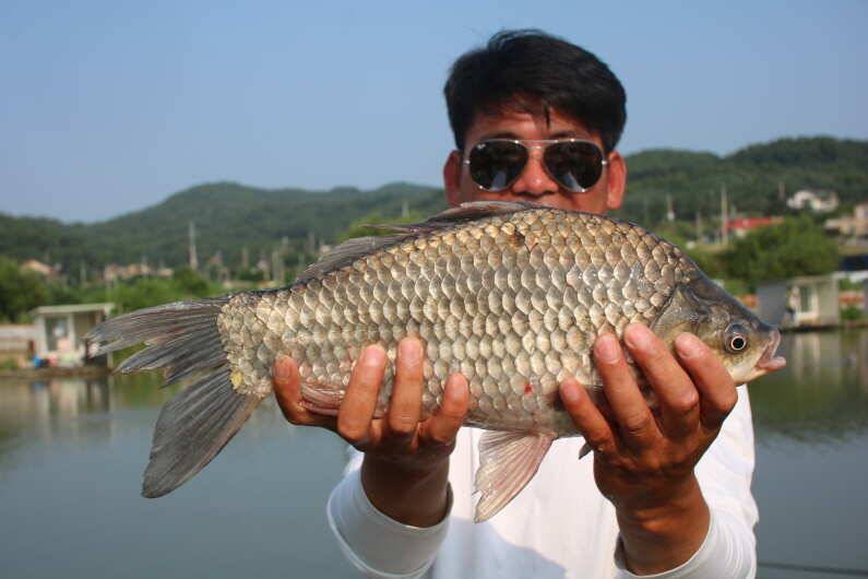 폭염에 4짜 대박 (유료터정보 - 유료터점주조황)