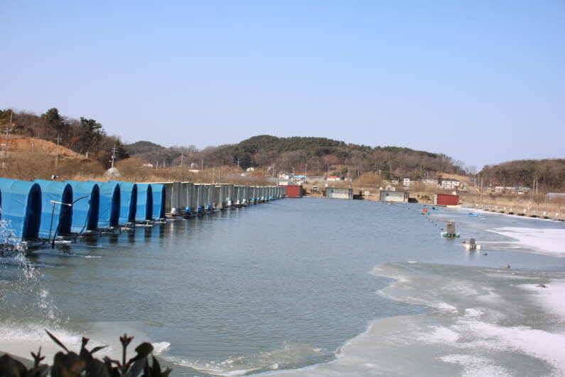 구정 이벤트 (유료터정보 - 유료터점주조황)