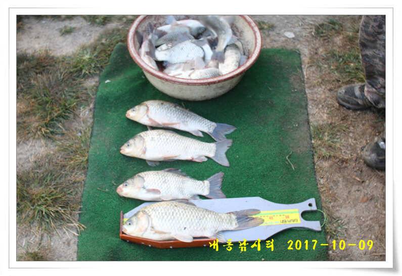 낚시의 계절 (유료터정보 - 유료터점주조황)