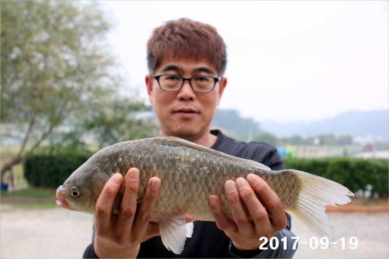추석이벤트 (유료터정보 - 유료터점주조황)