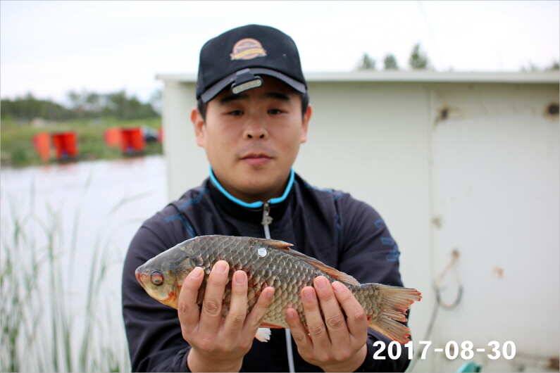 4짜 500번째 조사님을 찾습니다 (유료터정보 - 유료터점주조황)