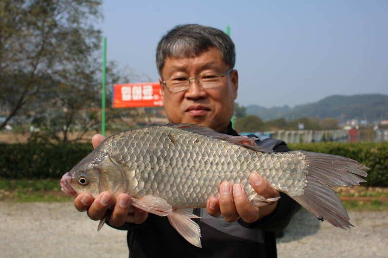 제3회 내동배 낚시대회 (유료터정보 - 유료터점주조황)