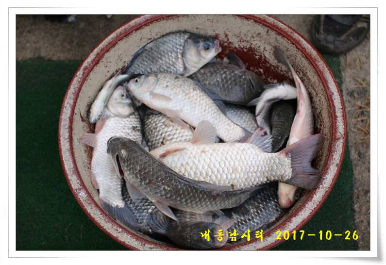 뻥 뚫렸다 (유료터정보 - 유료터점주조황)