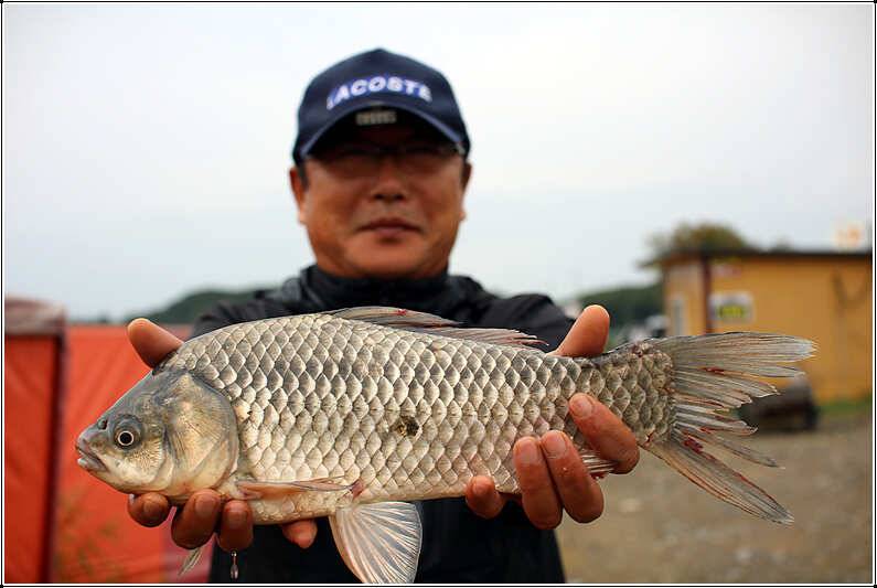 추 석 선 물 (유료터정보 - 유료터점주조황)