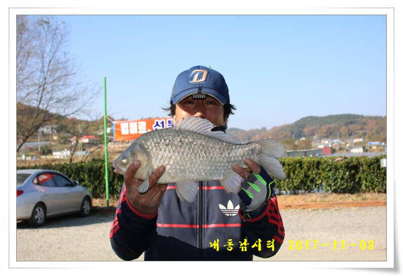 대물조황 (유료터정보 - 유료터점주조황)